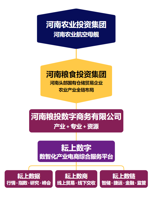 企业架构